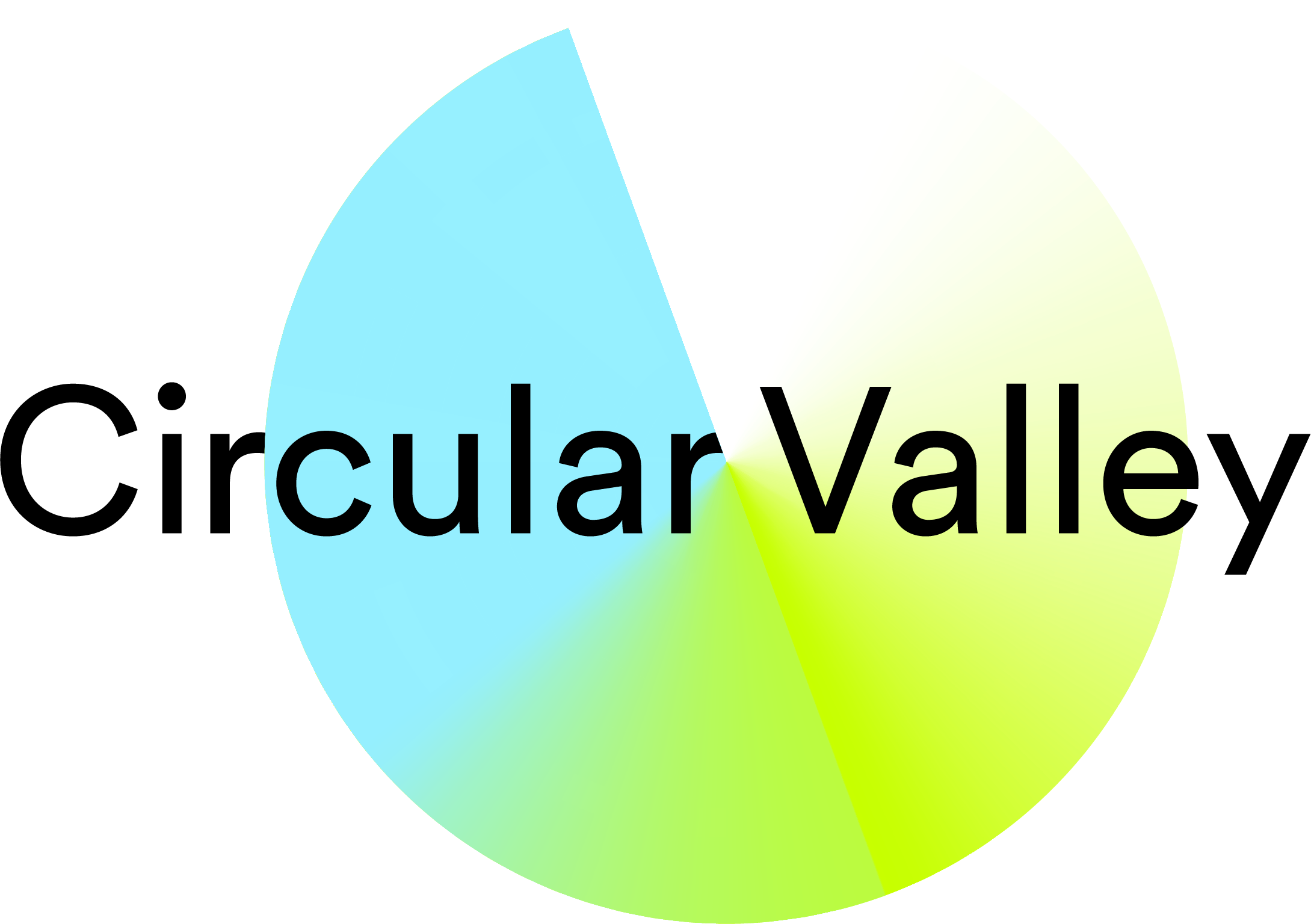 Circular Valley Logo